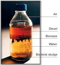 Oxidised diesel fuel showing darkened, degraded diesel sample with visible contamination characteristics